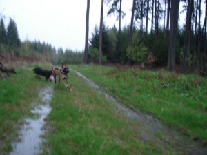 Maggie a za ní Reganidlo