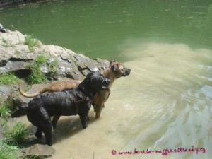 Luleč - Reganka a Maggienka